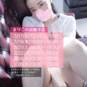 ヒメ日記 2026/03/17 09:56 投稿 まりこ あおば睾丸診療所