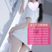 ヒメ日記 2026/03/23 22:36 投稿 まりこ あおば睾丸診療所