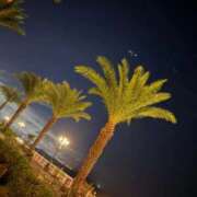 ヒメ日記 2025/10/10 21:37 投稿 なゆ 沖縄ちゃんこ那覇店