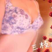 ヒメ日記 2025/09/19 09:57 投稿 三枝 海香 30代40代50代と遊ぶなら博多人妻専科24時