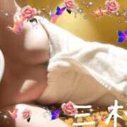 ヒメ日記 2025/09/29 10:23 投稿 三枝 海香 30代40代50代と遊ぶなら博多人妻専科24時