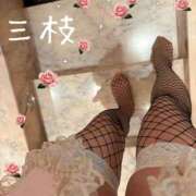 ヒメ日記 2025/10/07 11:30 投稿 三枝 海香 30代40代50代と遊ぶなら博多人妻専科24時