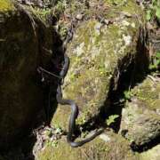 ヒメ日記 2025/10/15 16:01 投稿 三枝 海香 30代40代50代と遊ぶなら博多人妻専科24時