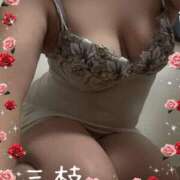 ヒメ日記 2025/10/16 00:24 投稿 三枝 海香 30代40代50代と遊ぶなら博多人妻専科24時