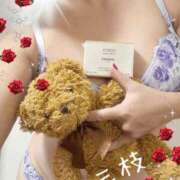 ヒメ日記 2025/10/16 20:25 投稿 三枝 海香 30代40代50代と遊ぶなら博多人妻専科24時