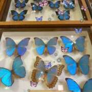 ヒメ日記 2025/10/18 08:15 投稿 三枝 海香 30代40代50代と遊ぶなら博多人妻専科24時