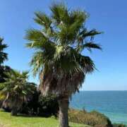 ヒメ日記 2025/10/20 13:15 投稿 三枝 海香 30代40代50代と遊ぶなら博多人妻専科24時