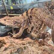 ヒメ日記 2025/11/02 09:56 投稿 三枝 海香 30代40代50代と遊ぶなら博多人妻専科24時