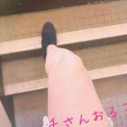 ヒメ日記 2025/11/07 10:51 投稿 三枝 海香 30代40代50代と遊ぶなら博多人妻専科24時