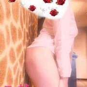 ヒメ日記 2025/11/27 22:56 投稿 三枝 海香 30代40代50代と遊ぶなら博多人妻専科24時