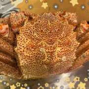 ヒメ日記 2025/12/19 10:02 投稿 三枝 海香 30代40代50代と遊ぶなら博多人妻専科24時