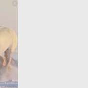 ヒメ日記 2025/12/28 02:47 投稿 三枝 海香 30代40代50代と遊ぶなら博多人妻専科24時