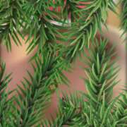 ヒメ日記 2026/01/22 09:26 投稿 三枝 海香 30代40代50代と遊ぶなら博多人妻専科24時