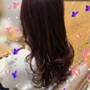 ヒメ日記 2026/03/14 21:19 投稿 三枝 海香 30代40代50代と遊ぶなら博多人妻専科24時