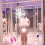 ヒメ日記 2026/04/03 11:31 投稿 三枝 海香 30代40代50代と遊ぶなら博多人妻専科24時