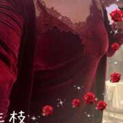 ヒメ日記 2026/04/03 11:42 投稿 三枝 海香 30代40代50代と遊ぶなら博多人妻専科24時