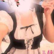 ヒメ日記 2026/04/07 17:06 投稿 三枝 海香 30代40代50代と遊ぶなら博多人妻専科24時