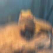 ヒメ日記 2026/04/16 16:01 投稿 三枝 海香 30代40代50代と遊ぶなら博多人妻専科24時