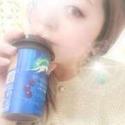 ヒメ日記 2026/10/05 08:31 投稿 三枝 海香 30代40代50代と遊ぶなら博多人妻専科24時