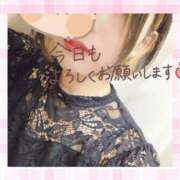 ヒメ日記 2025/08/15 07:04 投稿 野風【のかぜ】 丸妻 西船橋店