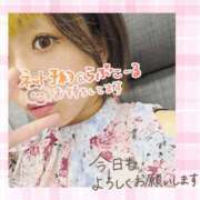 ヒメ日記 2025/08/27 09:18 投稿 野風【のかぜ】 丸妻 西船橋店