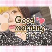 ヒメ日記 2025/09/04 09:15 投稿 野風【のかぜ】 丸妻 西船橋店