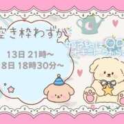 ヒメ日記 2025/11/12 08:42 投稿 野風【のかぜ】 丸妻 西船橋店