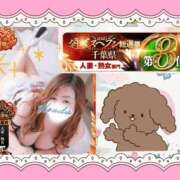 ヒメ日記 2025/11/12 22:51 投稿 野風【のかぜ】 丸妻 西船橋店