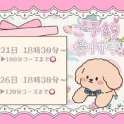 ヒメ日記 2025/11/19 14:19 投稿 野風【のかぜ】 丸妻 西船橋店