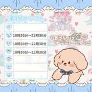 ヒメ日記 2025/11/20 23:14 投稿 野風【のかぜ】 丸妻 西船橋店