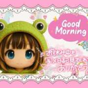 ヒメ日記 2025/11/22 07:40 投稿 野風【のかぜ】 丸妻 西船橋店