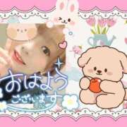 ヒメ日記 2025/11/30 08:08 投稿 野風【のかぜ】 丸妻 西船橋店