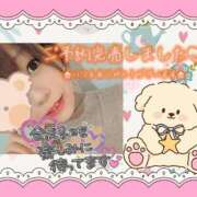 ヒメ日記 2025/12/01 09:43 投稿 野風【のかぜ】 丸妻 西船橋店