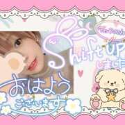 野風【のかぜ】 おはようございます((⊂(`ω´∩)ｼｭｯｼｭ 丸妻 西船橋店