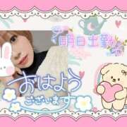 ヒメ日記 2025/12/14 10:40 投稿 野風【のかぜ】 丸妻 西船橋店