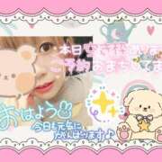 ヒメ日記 2025/12/20 09:08 投稿 野風【のかぜ】 丸妻 西船橋店