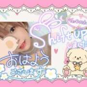 ヒメ日記 2026/02/06 09:24 投稿 野風【のかぜ】 丸妻 西船橋店