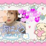 ヒメ日記 2026/02/11 08:48 投稿 野風【のかぜ】 丸妻 西船橋店