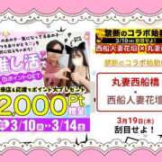 ヒメ日記 2026/03/07 00:43 投稿 野風【のかぜ】 丸妻 西船橋店