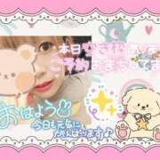 ヒメ日記 2026/03/09 09:50 投稿 野風【のかぜ】 丸妻 西船橋店