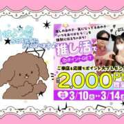 ヒメ日記 2026/03/10 10:17 投稿 野風【のかぜ】 丸妻 西船橋店