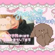 ヒメ日記 2026/03/16 09:33 投稿 野風【のかぜ】 丸妻 西船橋店
