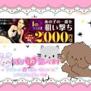 ヒメ日記 2026/03/21 19:24 投稿 野風【のかぜ】 丸妻 西船橋店