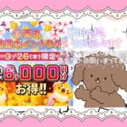 ヒメ日記 2026/03/25 08:51 投稿 野風【のかぜ】 丸妻 西船橋店