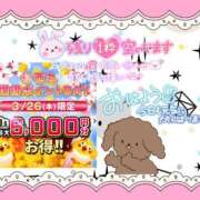 ヒメ日記 2026/03/26 10:28 投稿 野風【のかぜ】 丸妻 西船橋店