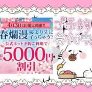 ヒメ日記 2026/03/31 23:10 投稿 野風【のかぜ】 丸妻 西船橋店