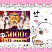 ヒメ日記 2026/04/01 23:10 投稿 野風【のかぜ】 丸妻 西船橋店