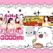 野風【のかぜ】 おはよーございますっ♬.*ﾟ 丸妻 西船橋店