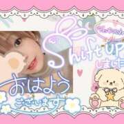 ヒメ日記 2026/04/18 08:03 投稿 野風【のかぜ】 丸妻 西船橋店