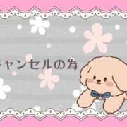 ヒメ日記 2026/04/21 12:59 投稿 野風【のかぜ】 丸妻 西船橋店